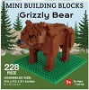 Grizzly Bear